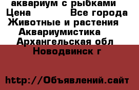 аквариум с рыбками › Цена ­ 1 000 - Все города Животные и растения » Аквариумистика   . Архангельская обл.,Новодвинск г.
